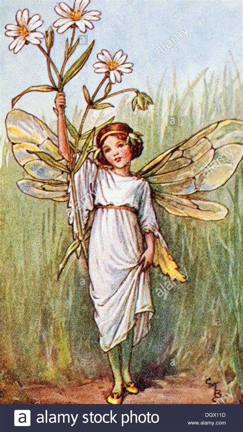 Flower Fairies Illustration By Cicely Mary Barker The Stitchwort