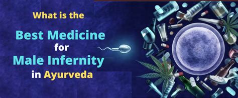 Can Ayurveda Cure Male Infertility Sexual Health Clinic