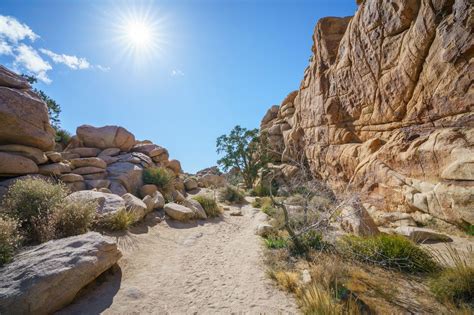 A Guide To The Best Hikes In Joshua Tree