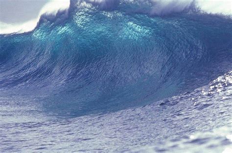 Research shows how park-like tsunami defenses can provide a sustainable