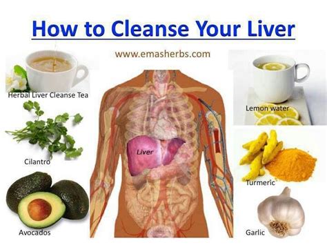 How To Cleanse Your Liver Incredible Health And Nutrition Knowledge