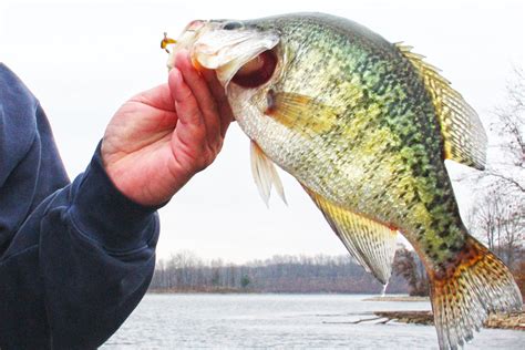 Crappies Rocks And Boulders Midwest Outdoors