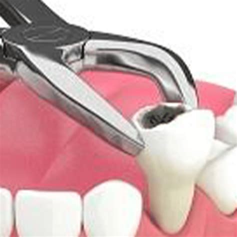 guttormsen dental care dentist in kenosha dental care