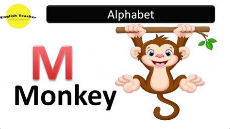 Alphabet Belajar Bahasa Inggris Mulai Dari A Z Dan Ilustrasi Youtube
