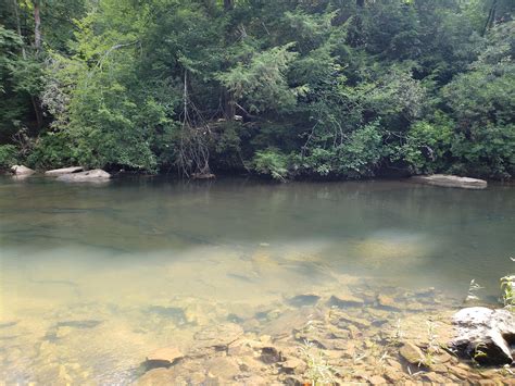 Caney creek cabins provides you with convenience and privacy, allowing you to fully enjoy the majestic beauty of nature. 5 acres in Cumberland County, Tennessee