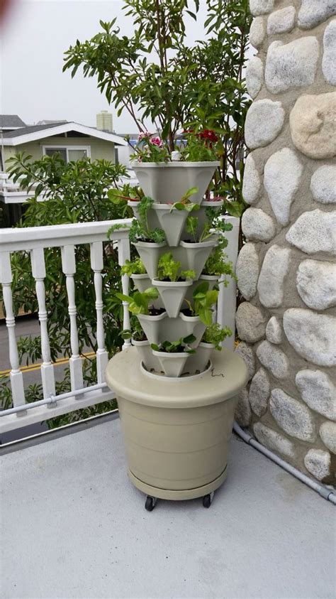 Use The Mr Stacky Pots To Create An At Home Garden Plug