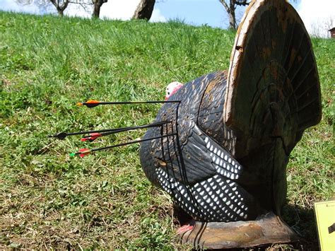 How Do 3d Archery Shoots Work The Must Know Tips For Newbies