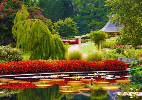 Finden sie mehr botanik produkte auf amazon! Our Garden | Huntsville Botanical Garden