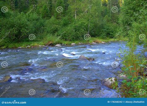 A Stormy Stream Of A Shallow Mountain River With A Rocky Bottom And