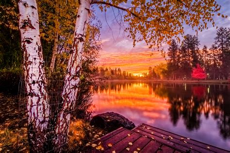 Wallpaper Sunlight Trees Landscape Forest Fall Sunset Lake Water Nature Reflection