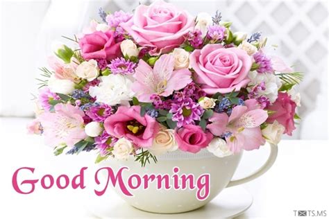 You are fresher than the garden blooms at first light. Good Morning SMS For Friends, Good Morning Text Messages ...