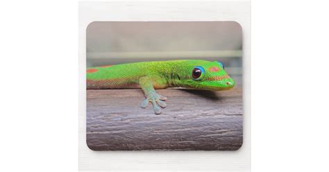 Gold Dust Day Gecko Mouse Pad Zazzle
