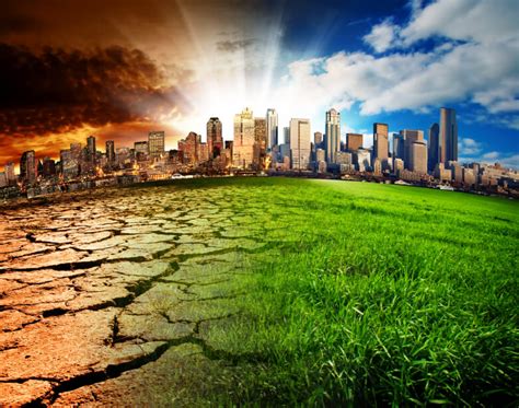 What is environment as it relates to. Medicine Blog | Damage to the environment as a result of ...