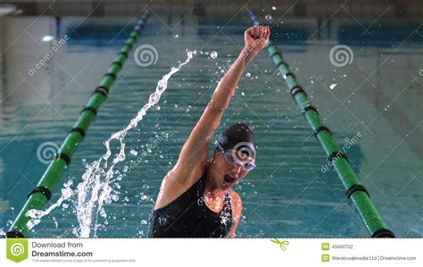 Fit Swimmer Jumping And Cheering In Swimming Pool Stock Footage Video