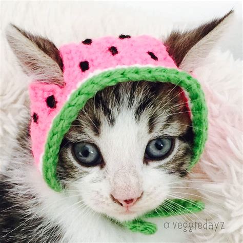 Crochet Hat For Cats Watermelon Crochet Cat Hat Crochet Cat Cat