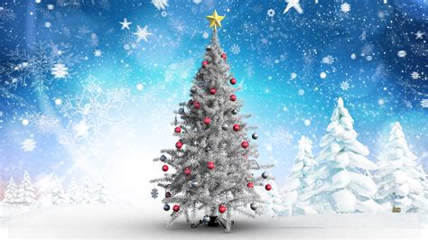 Real or artificial? Fascinating facts about Christmas ...