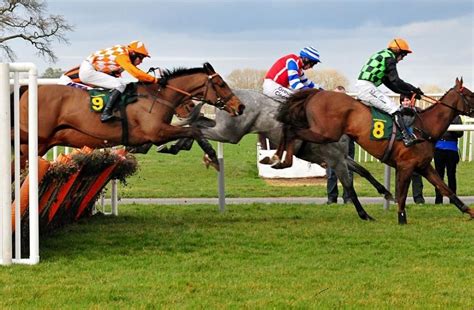 Horse Racing Picks And Tips To Help You Pick More Horse Racing Winners