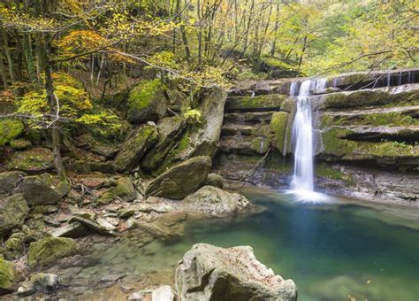 Il Parco Nazionale Delle Foreste Casentinesi Il Portale Dei Bambini