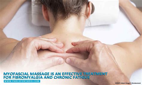 5 Massage Techniques To Ease Back Pain The Physiotherapy And