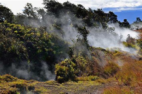Big Island Gruppo Del Parco Nazionale Dei Vulcani O Escursione Privata