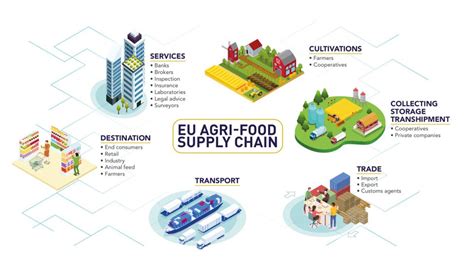 Celcaa Vision On The Role Of Trade And Agri Food Global Supply Chain For The Economic Recovery