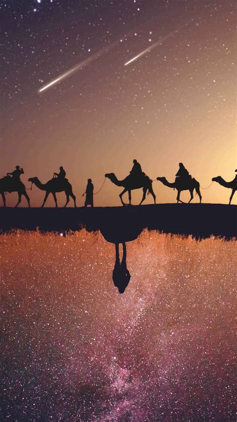 Camel Night Lake Reflection Iphone Wallpaper Iphone Wallpapers