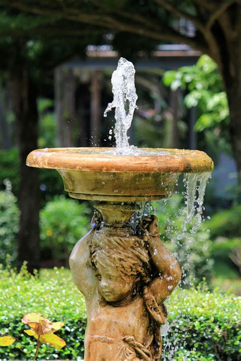 A water feature can add a whole new dimension to a garden, with its relaxing splashing sounds and reflected glimmers of light. Water Feature Ideas - How To Use Water Features In The Garden