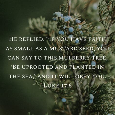 Luke 176 He Replied If You Have Faith As Small As A Mustard Seed