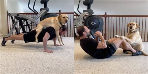 Magnus The Therapy Dog Works Out With His Owner Popsugar Fitness Uk