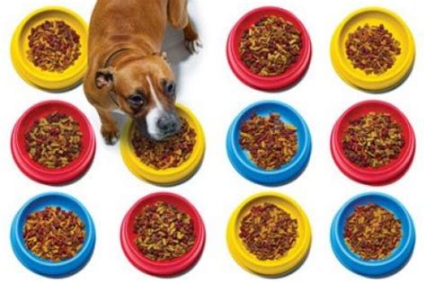 Are there any chiq refrigerators sold in australia? Dog food brands to avoid (2021) | Pet Food Reviews (Australia)