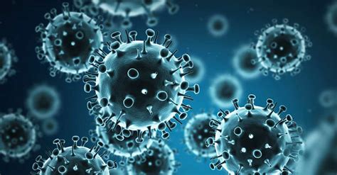 Coronavirus (COVID-19) precautions: 10 ways to reduce your risk of catching the virus ...