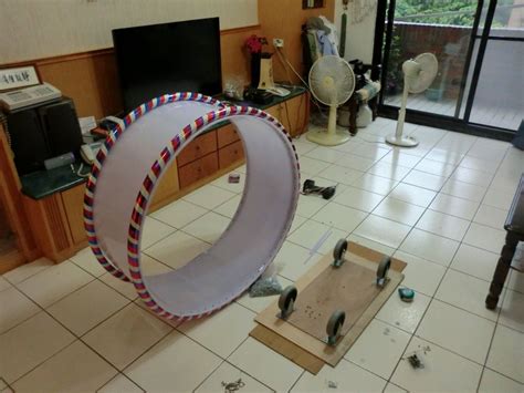 The one fast cat exercise wheel keeps indoor cats active on a daily basis. «Regardez cette image que je veux savoir Zuosha XD lorsque ...