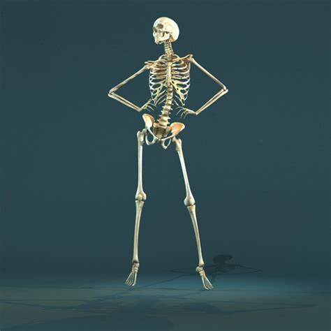 A Skeleton Standing In The Dark With Its Hands On His Hips