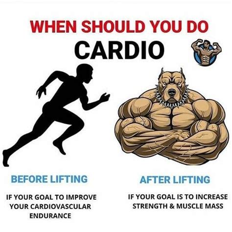 Lets Cardio Workout Memes Cardio Fitness Nutrition