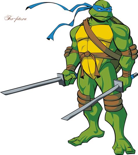 Leonardo Teenage Mutant Ninja Turtles Cartoon Clipart Full Size