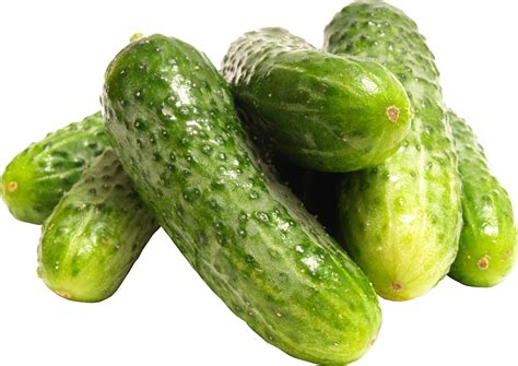 Download Cucumber Png Image For Free