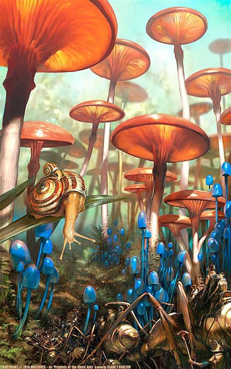 Mushroom Landscape Art And Illustration Landscape Illustration