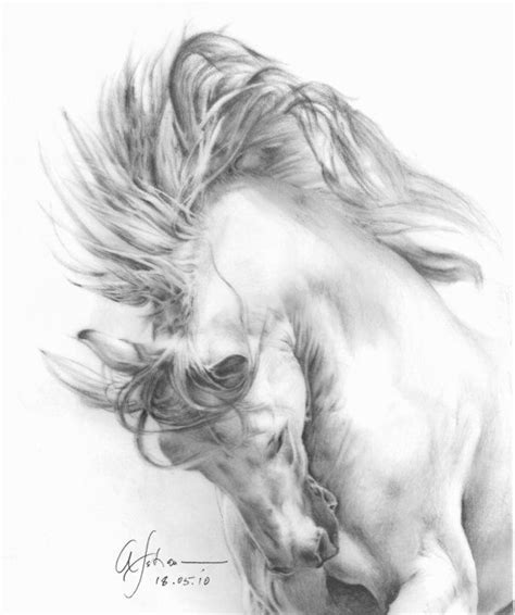 A Beautiful Rendition Charcoal By Afshan Horse Art Drawing Horse