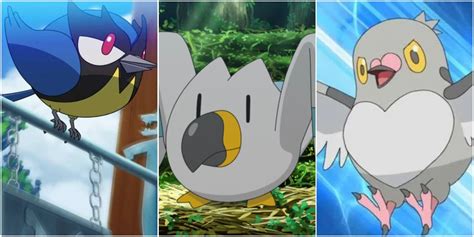 Pokémon Every Bird From Route One Ranking Petsitterbank