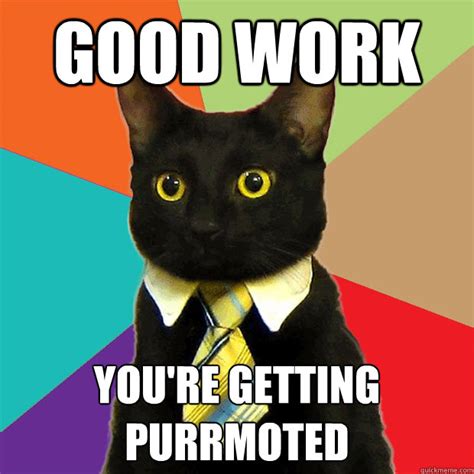 We did not find results for: good work youre getting purrmoted - Business Cat