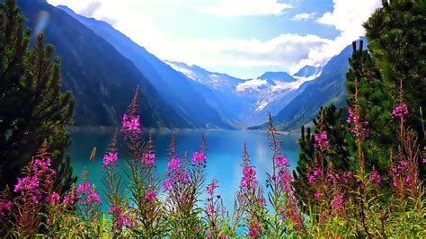 Beautiful Nature Mountain Lake Flowers Free Hd Wallpaper