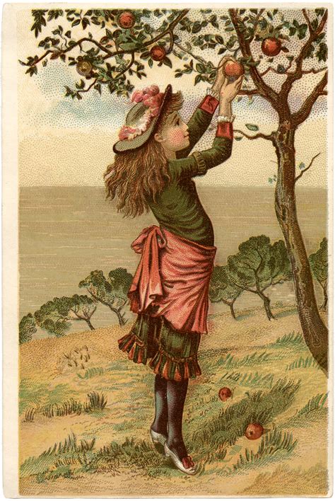 Vintage Apple Picking Image The Graphics Fairy