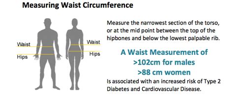 Measuring Waist Circumference Mhms