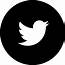 Twitter Icon Png Circle Transparent FREE For 