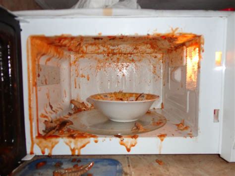 Microwave Nasty Disaster 10 Pics