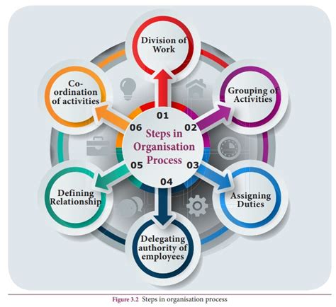 Steps In Organisation Process