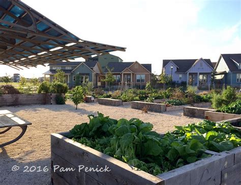 Edibles Green Roof And Playground At Mueller Community Gardens