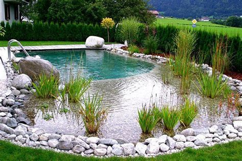 Instructions On How To Build A Natural Pool Diy Natural Swimming Pool
