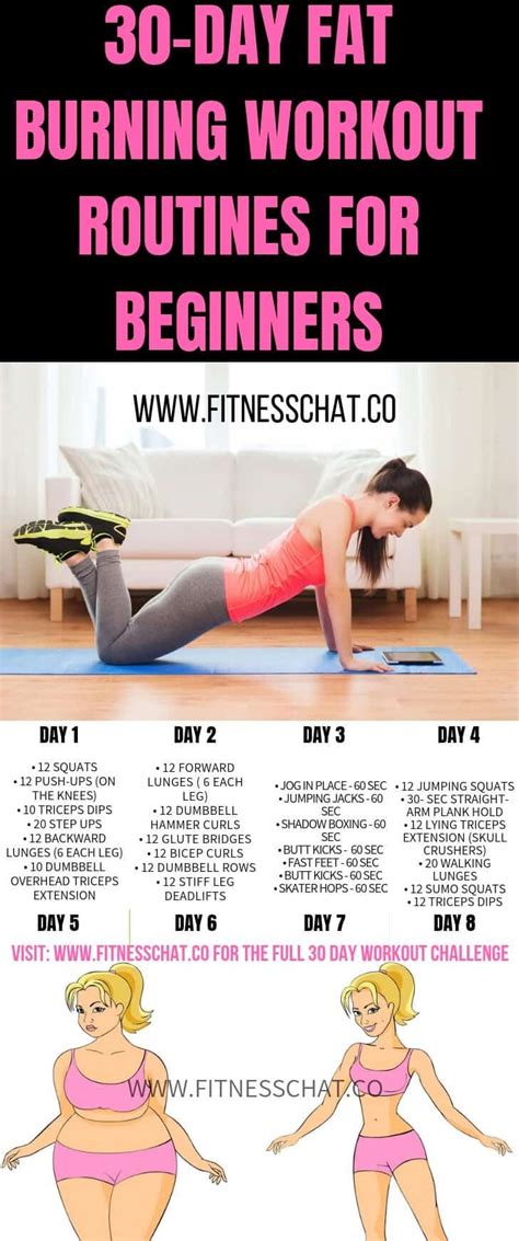 Gym Workout Plan For Weight Loss Female Beginners A Step By Step Guide