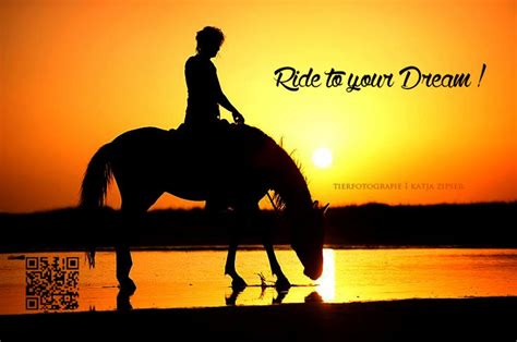 Riding Off Into The Sunset Ride To Your Dream Equine Photographer